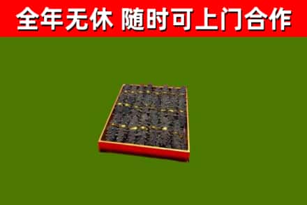 铁门关市回收海参